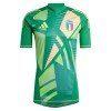 Maglia da Calcio Portiere Italia Euro 2024 Verde per Uomo